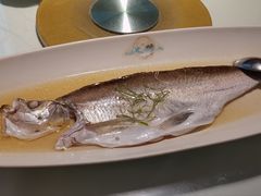 -席家花园(巨鹿花园店)