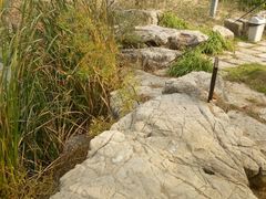 -观唐（国际）度假村温泉
