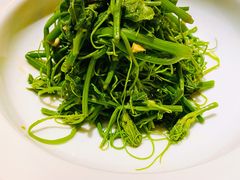 蒜泥丝瓜尖-徽镇小厨·经典徽菜(十里河店)