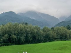 -聚焦旅拍(大理店)