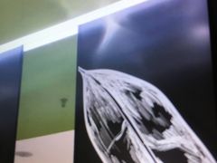 -COCO壱番屋(大华路店)