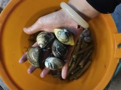 -北海金海湾红树林生态旅游区