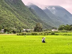 -万峰林风景区