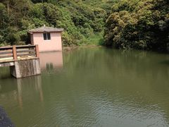 -水濂山森林公园