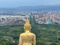 -西双版纳勐泐文化旅游区