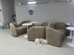 -怪兽屋·羊驼·猫咖·狗咖(俊华广场店)