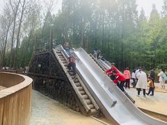 -黄海国家森林公园