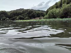 -西湖游船