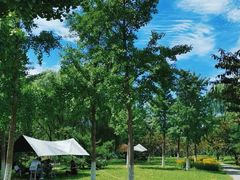 -永定河休闲森林公园