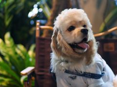 -J Create城市露营咖啡·简餐·宠物(上海动物园店)