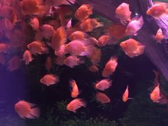 -常州海昌海洋探索馆