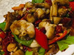 辣炒牛蛙-粤秀小厨·广式早茶(辽宁路店)