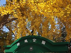 -玲珑塔公园