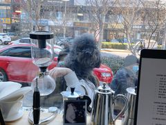 -2326 Coffee Roaster咖啡豆可选店(林肯公园店)