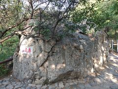 -阳台山自然风景区