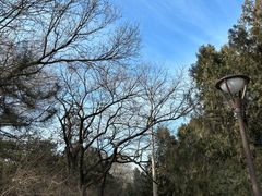 -元大都城垣遗址公园