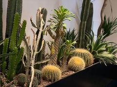 -J Create城市露营咖啡·简餐·宠物(上海动物园店)