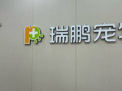 -瑞鹏宠物医院·骨外科·心肾科·肿瘤科(九亭店)