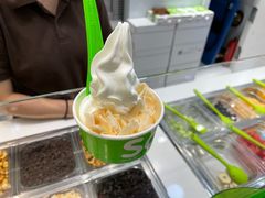 -Salud撒露欧洲冻酸奶(蓝色港湾店)