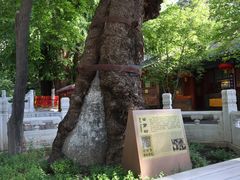 -潭柘寺景区