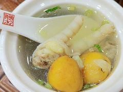 黄皮炖龙骨凤爪-长平肥姐白粥·海鲜打冷