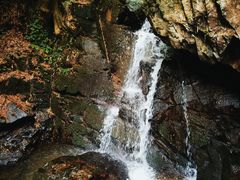 -藏龙百瀑风景区