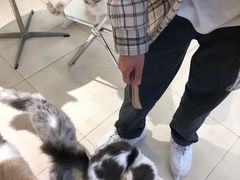 -怪兽屋·羊驼·猫咖·狗咖(俊华广场店)