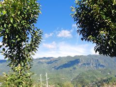 -齐岳山