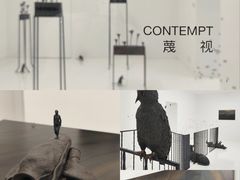 -胶囊画廊