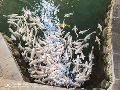 -世界地热博览园