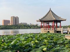 -济南大明湖景区