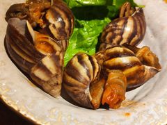 煮角螺-樱町三味日本料理(城乡世纪广场店)