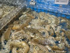 -盒马鲜生(双清路店)