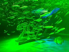 -上海海昌海洋公园
