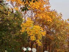 -南京市江宁方山