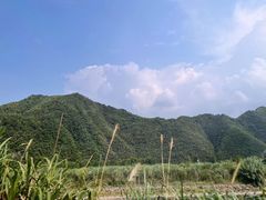 -将军关探险漂流