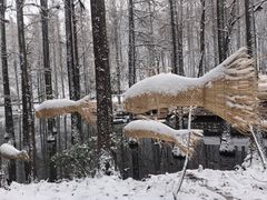 -波尔登森林公园
