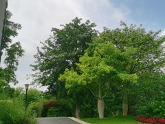 -东莞植物园