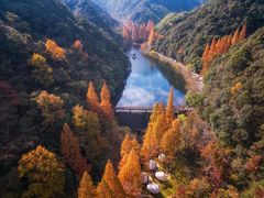 -宁海森林温泉