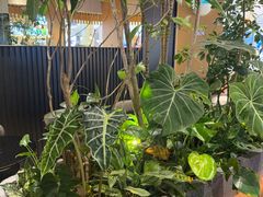 -gaga(深圳福田星河COCO Park店)