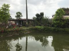 -花溪雨·森林餐厅(石基店)