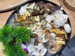 -一朵菌·野生菌探索家火锅(南亚店)