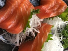 -春草居酒屋·晴子の店