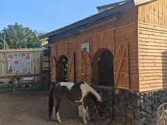 -HERRE·FARM 赫尔露营农场·团建聚会包场