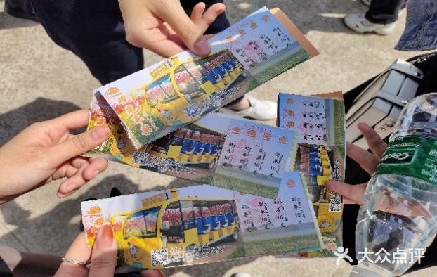 春日图鉴 | 拍照圣地 | 南京高淳国际慢城桠溪