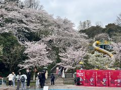 -杭州少年儿童公园