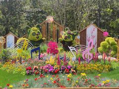 -上海共青森林公园