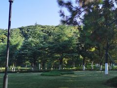 -汤山公园