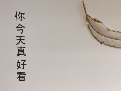 -YIMEI ART半永久纹眉·野生眉