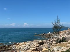 -广东惠东海龟国家级自然保护区